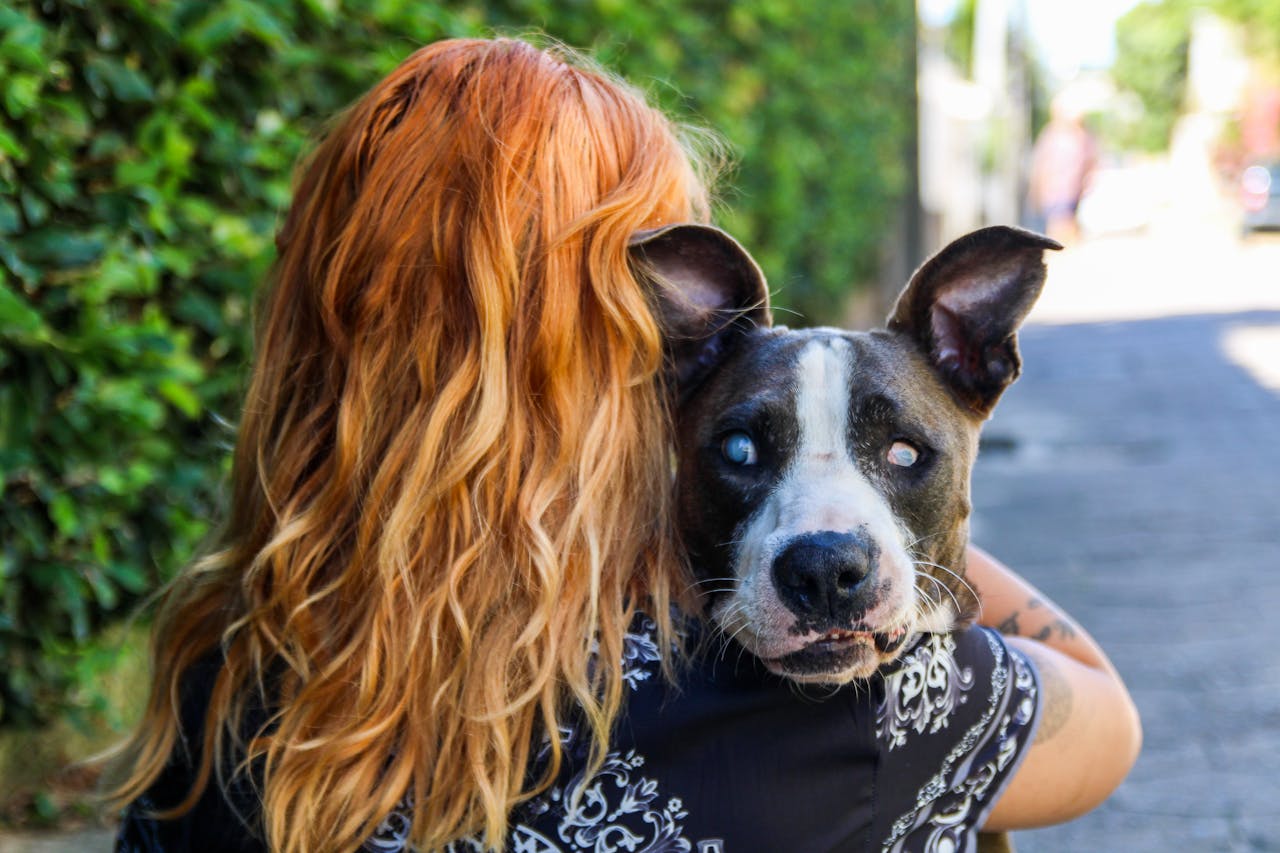A woman with red hair lovingly holds a blind dog in a sunny outdoor setting.